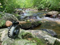 Fly Fishing Snakehead Coatesville PA